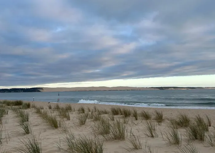 T1Bis Dans Les Dunes Du Cap Ferret