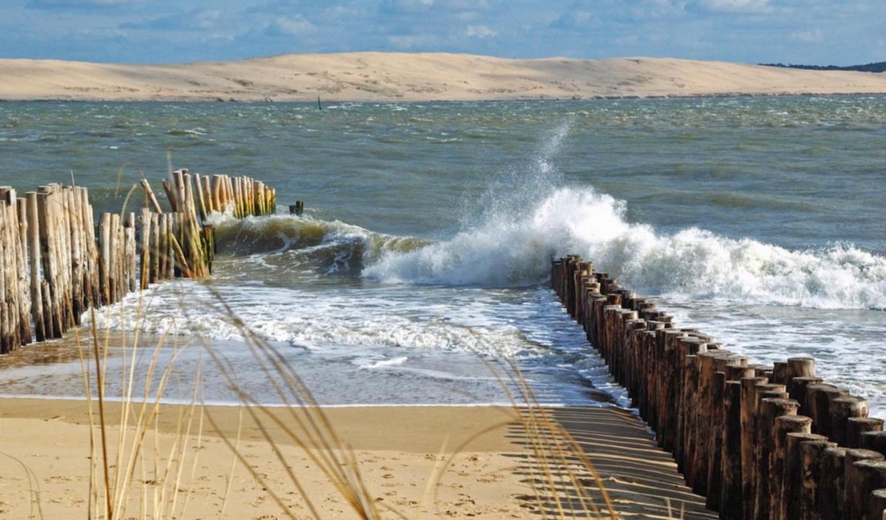 T1bis Dans Les Dunes Du Cap Ferret Apartment