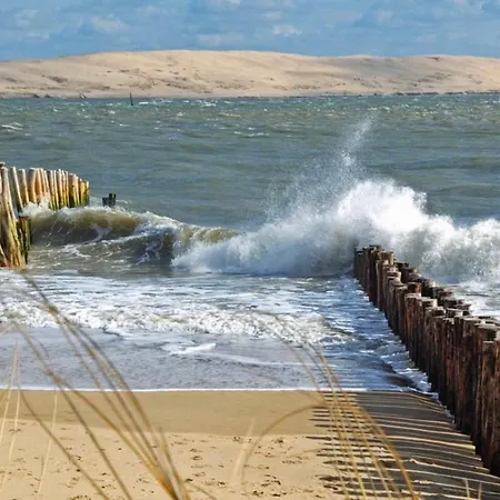 T1Bis Dans Les Dunes Du Cap Ferret Lège-Cap-Ferret Exterior foto