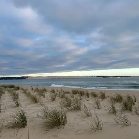 T1Bis Dans Les Dunes Du Cap Ferret Lège-Cap-Ferret Exterior foto