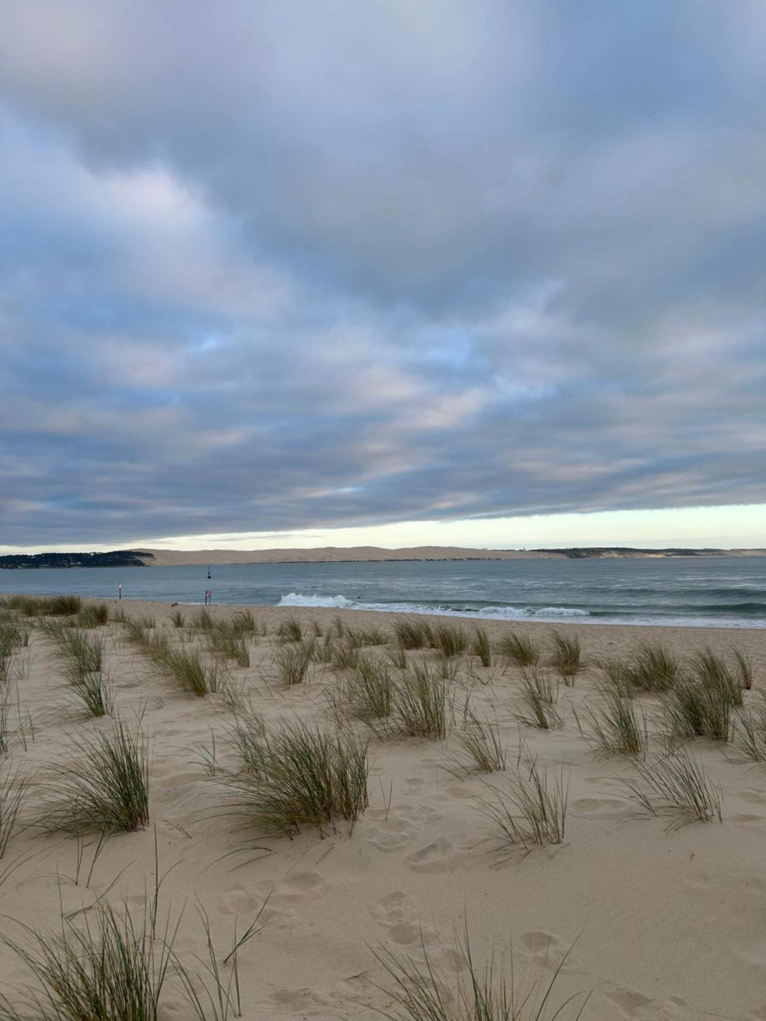 T1bis Dans Les Dunes Du Cap Ferret * Lège-Cap-Ferret